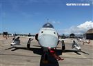 F-5戰機彩繪機，以虎斑為主要設計元素，象徵著台東志航基地所孕育出的小老虎，堅守崗位，捍衛領空。（記者邱榮吉/台東拍攝）