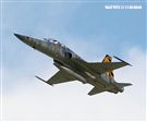 F-5戰機彩繪機，以虎斑為主要設計元素，象徵著台東志航基地所孕育出的小老虎，堅守崗位，捍衛領空。（記者邱榮吉/台東拍攝）