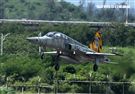 F-5戰機彩繪機，以虎斑為主要設計元素，象徵著台東志航基地所孕育出的小老虎，堅守崗位，捍衛領空。（記者邱榮吉/台東拍攝）
