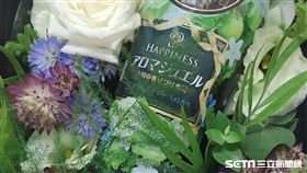 洗衣豆。（圖／品牌提供）