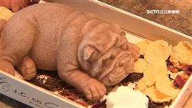 捨不得吃! 療癒系狗狗冰淇淋逼真爆表