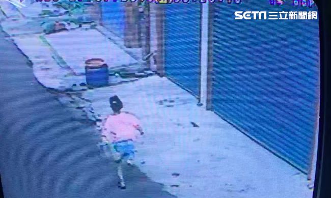 女童遭土狗追逐猝死　法醫：心臟較大