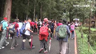 10元遊溪頭爆火氣　居民盼取消優惠