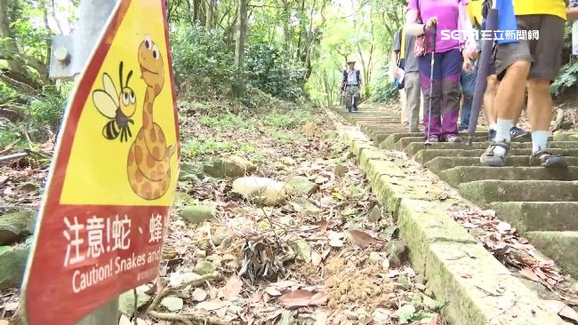 台灣怎有眼鏡蛇？蔡詩萍留言引戰