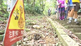 台灣怎有眼鏡蛇？蔡詩萍留言引戰