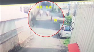 女童遭土狗追逐猝死　出生喪父扛家務
