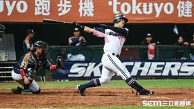 中信兄弟陳子豪。 （圖／記者林敬旻攝）