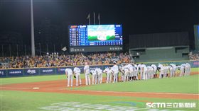 ▲中信兄弟在新莊球場贏球。（圖／記者蕭保祥攝）