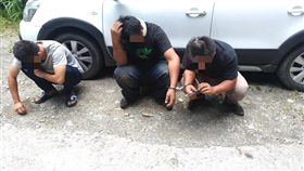 扁柏,盜砍,梨山,台中（翻攝畫面）