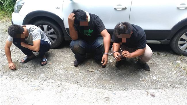 3少年專當山老鼠　盜砍百年國寶扁柏