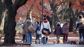 公園老人散步／flickr／Bi-Yu Wu／https://goo.gl/kn96SP