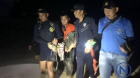 ▲普吉島的「巨鱷」已抓到。（圖／翻攝自泰國網臉書）