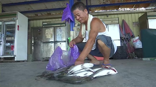 海釣場夯！釣到大魚現拿上千回收價