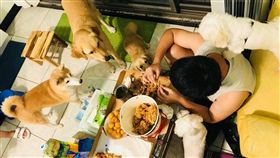 吃個炸雞壓力山大！五隻餓狗虎視眈眈　都爬到頭上了吃個
（圖／翻攝自有點毛毛的 臉書）
炸雞,比薩,餓狗,壓力,目光