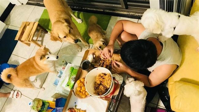 五隻餓狗注視他做這件事　畫面超爆笑