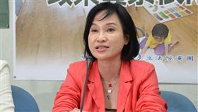 柯志恩　圖／國民黨團提供