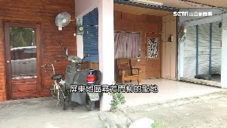 私娼寮力圖轉型　引泰、越妹捲土重來