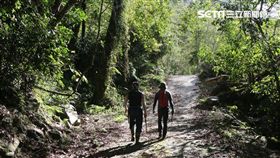 農委會,林務局,台灣山林,森林護管員,守護台灣,森林