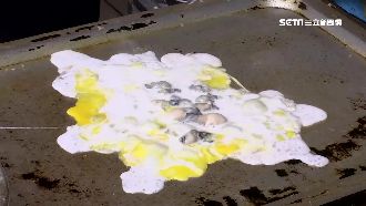 蚵仔煎沒蚵仔　食材登錄平台鬧笑話！