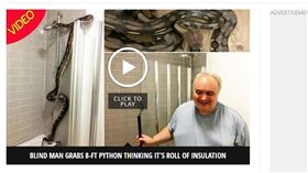 圖／翻攝自Mirror Online