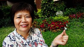 台中,花博,志工