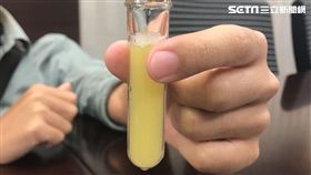 台北,毒梟,吸毒,驗尿,尿液,快篩,解毒劑,毒犯,毒品（圖／記者楊忠翰攝）