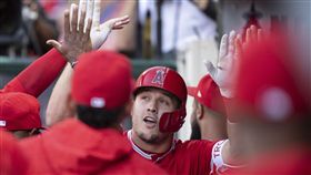 ▲洛杉磯天使強打Mike Trout擊出今年第30轟。（圖／美聯社／達志影像）