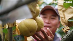台灣心故事,雄獅旅遊,苗栗,職人帶路。（圖／記者簡佑庭攝）