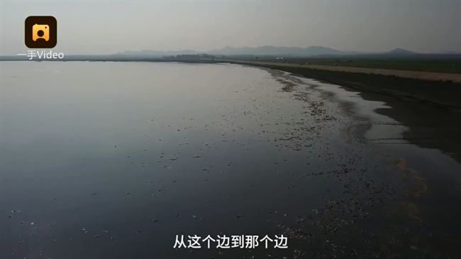 水庫被曬到乾涸　魚群缺氧浮屍2公里