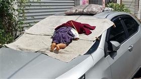 大熱天曬娃娃／臉書爆怨公社