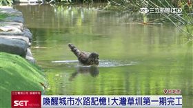 挺生態保育！全聯協助生態草圳計畫　大安森林公園變了
業配