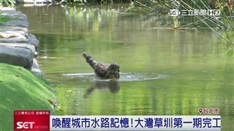 全聯挺生態保育　大安森林公園變了