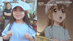 影片授權：夏亞の逆襲之旅/翻攝twiiter:『はたらく細胞』公式 