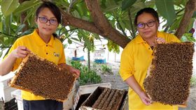 姐妹接家業10年勝父親 養蜂雙獲特等獎