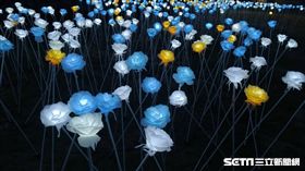 淡水海關碼頭,LED花海。（圖／取自淡水古蹟博物館臉書）