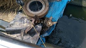 貓咪,捕獸夾,流浪貓,動保處,受傷
https://www.dcard.tw/f/pet/p/229353310-%E6%8D%95%E7%8D%B8%E5%A4%BE%EF%BC%81%EF%BC%81%E8%B2%93%E5%92%AA%E5%BF%AB%E6%AD%BB%E4%BA%86-%E9%A0%82%E8%B5%B7%E4%BE%86