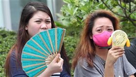 高溫炎熱　民眾搧扇子吹小電扇消暑中央氣象局預報，3日北部、東北部高溫攝氏30、31度左右，花東高溫約30度，中南部仍是悶熱，高溫在32至35度間。上午台北街頭的民眾搧扇子、吹小電扇抗熱消暑。中央社記者吳翊寧攝　107年6月3日