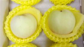 網友抱怨委託民宿老闆代訂水蜜桃，竟是一場詐騙。（圖／翻攝爆料公社）