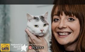 Theo,貓咪,British Cat of the Year,英國年度最佳貓咪