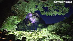 御船山樂園, teamLab光雕秀,日本佐賀。（圖／記者簡佑庭攝）