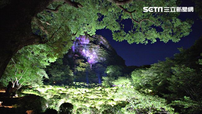 離台最近阿凡達世界　御船山夜景美翻