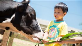 草原冒險限時門票免費　埔心親子遊！