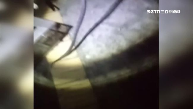 1米長眼鏡蛇夜闖警局　警嚇到吃手手