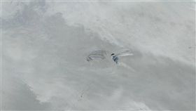 彰化,員林,大排,溺斃,鞋子。翻攝畫面