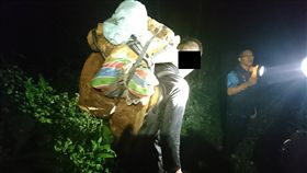 花蓮,保七,紅檜,樹瘤,林管處,森林管護員,販毒集團。翻攝畫面