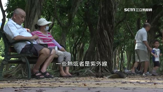 高溫避免樹下乘涼？臭氧恐對身體有害