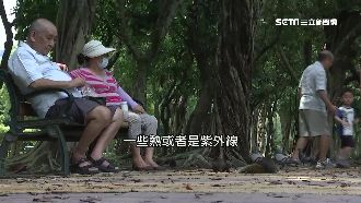 高溫避免樹下乘涼？臭氧恐對身體有害