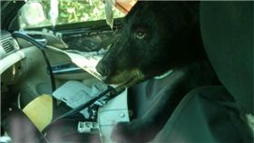 轎車遭劫！警大陣仗圍捕　破門才發現「不速之客」是黑熊　圖／翻攝臉書