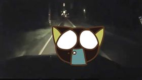 熊,翻滾,撞飛,馬路,市區,北海道,日本,居住,開發,生活,凶手,動物 圖／翻攝自推特　https://goo.gl/SAQbgW