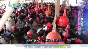 侯撩孩驚嚇1200-SOT